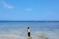 小杰專欄｜也許