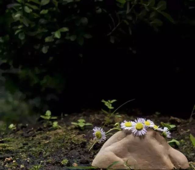 小杰專欄｜分類快樂