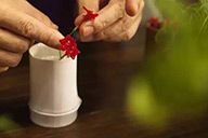 小杰專欄｜竹杯