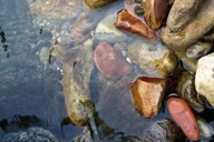 小杰專欄｜老去