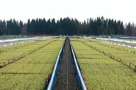 澳珀新聞｜與瑞典木業再續北歐情緣