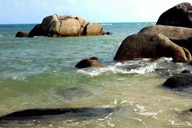 小杰專欄｜閱讀失眠