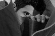 澳珀新聞｜冬日裡的來客