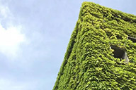 澳珀新聞｜“有生命的”建築