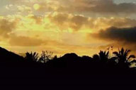 小杰專欄｜​回到乡下