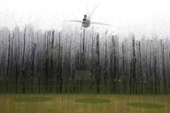 小杰專欄｜喜歡雨天