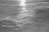 小杰專欄｜年青与年老