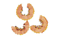 小杰專欄｜美麗