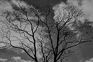 小杰專欄｜隔窗