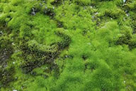 小杰專欄｜管理學習