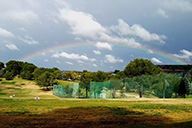 小杰雜感​｜​停停