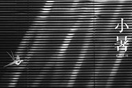 時令記 | 【小暑】燕語小暑