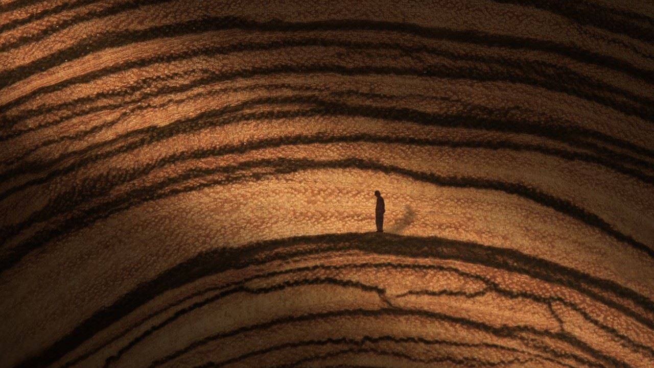 森林促銷 | 烏金木的烏托邦