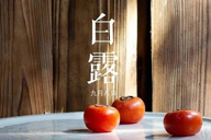 時令記 | 【寒露】柿子紅了皮