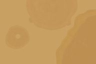 品牌活動 | 2018年澳珀秋展