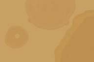 品牌活動 | 澳珀秋展盤點