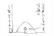 ​小杰隨筆｜问龟
