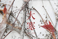 時令記 | 【大寒】稍安勿躁