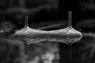 澳珀2019丨年，就是回家