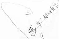 小杰隨筆｜​問龟