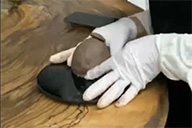 小杰隨筆｜蛇年