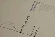 小杰隨筆｜問龟