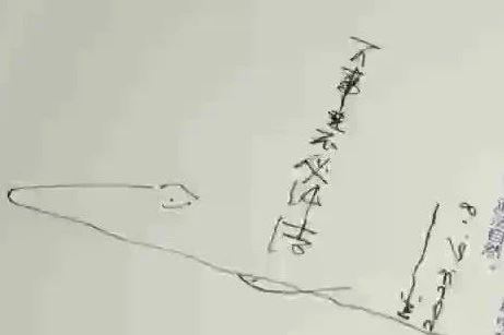 小杰隨筆｜問龟