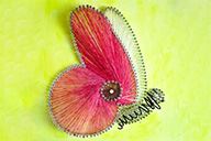 小杰隨筆｜講究而不追求